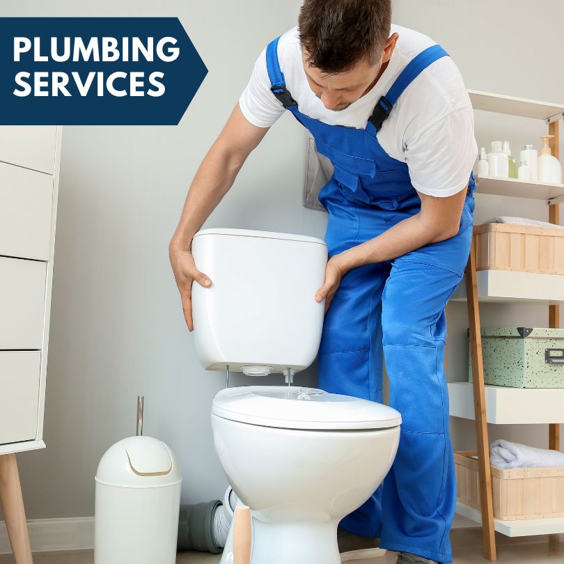 Plumbing Company in Ray, MI